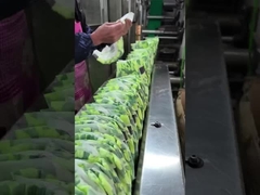 uniconcern 부드러운 아기 기저귀